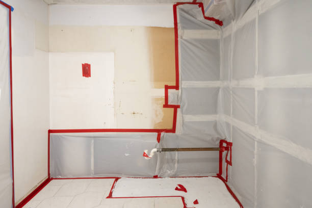 Best Mold Removal for HVAC Installations  in Falls City, OR