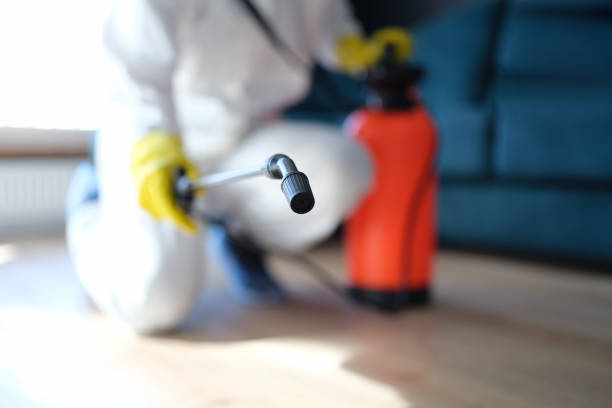 Best Crawl Space Mold Remediation  in Falls City, OR