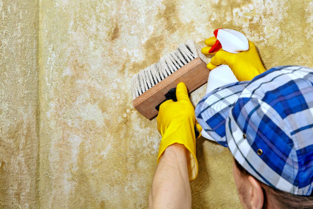 Best Indoor Air Quality Assessment  in Falls City, OR
