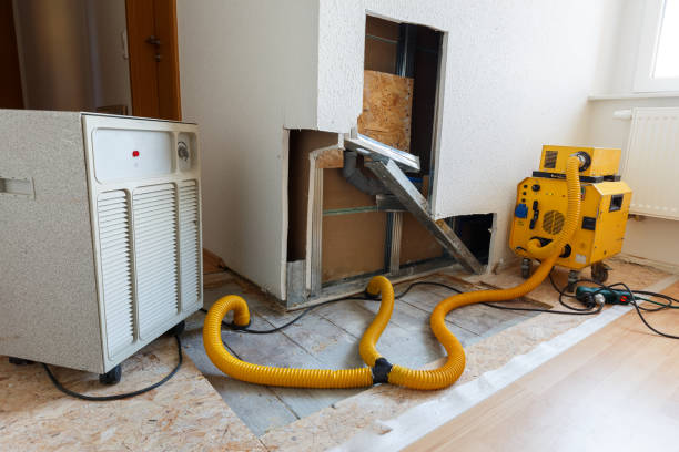 Best Asbestos and Lead Testing During Mold Inspection  in Falls City, OR
