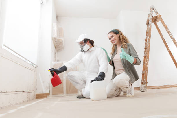 Best Comprehensive Air Testing for Mold Contaminants  in Falls City, OR